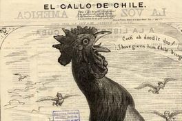 El gallo de Chile