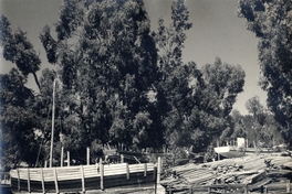 Astillero del Maule, 1959