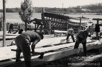 Labores en astillero del Maule, 1950