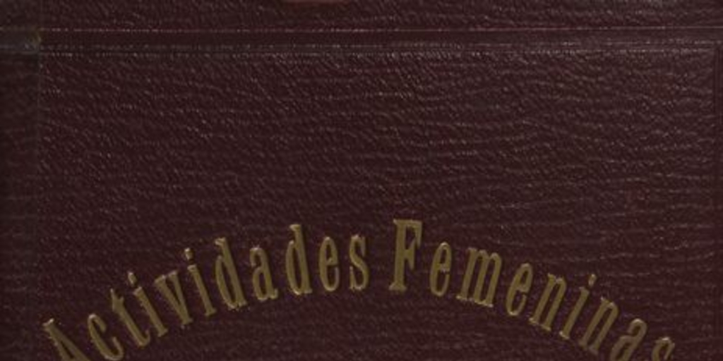 Actividades femeninas en Chile :obra publicada con motivo del cincuentenario del decreto que concedió a la mujer chilena el derecho de validar sus exámenes secundarios : (datos hasta Diciembre de 1927)