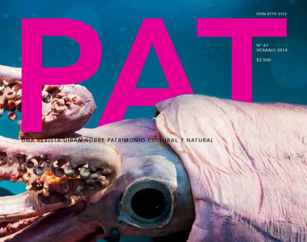Revista PAT Nº61 Revista PAT Nº61