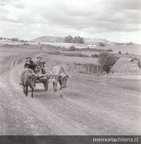 Dos campesinos en una carreta con bueyes