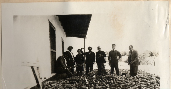 Hacienda no identificada en Lluta, Arica ca1920.