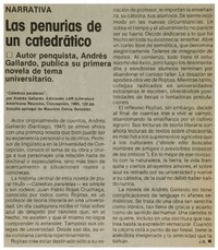 Las penurias de un catedrático