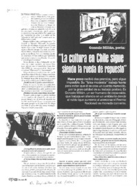 "La cultura en Chile sigue siendo la rueda de repuesto" [entrevista]