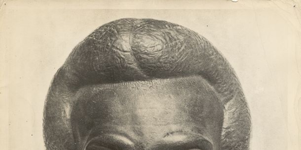 Escultura de Albert Einstein: cabeza
