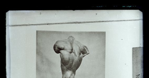 Detalle de torso El bailarín Lotz, 1924