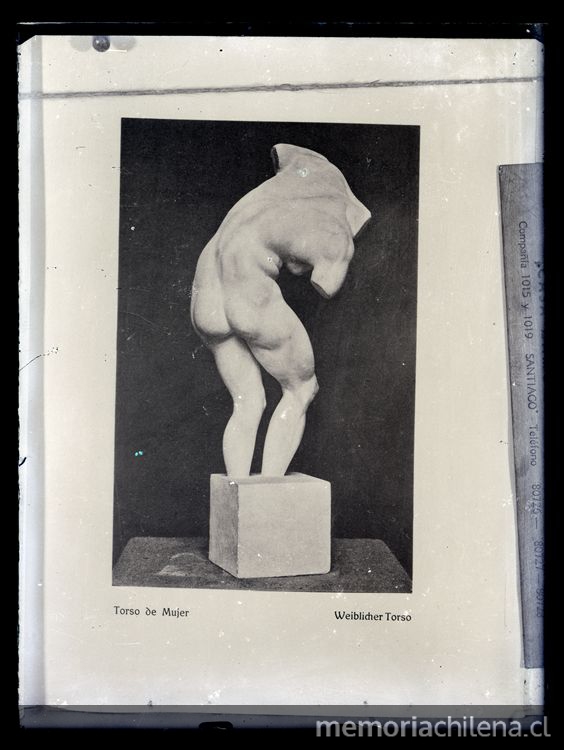 Detalle de Torso de mujer, 1924