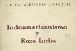 Indoamericanismo y raza india