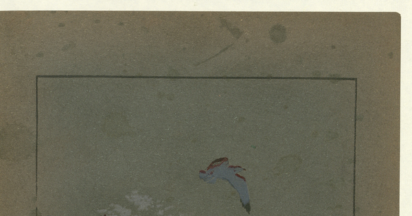 Playa blanca (Las Cruces de Cartagena) :un balneario moderno, de primera clase, para personas de buen gusto. Santiago : "Comunidad Playa Blanca", 1915. [7] páginas, [10] láminas : ilustraciones, plano ; 31 cm