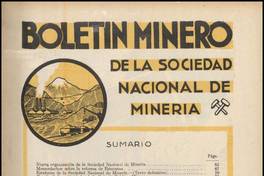 Estatutos de la Sociedad Nacional de Minería.Texto definitivo