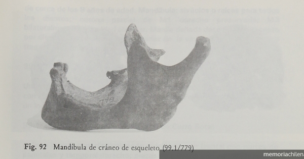 Vistas del cráneo de esqueleto 99.1/780 excavado en Cerro Sota.Viajes y arqueología en Chile austral. Ediciones de la Universidad de Magallanes, Punta Arenas. 1988.