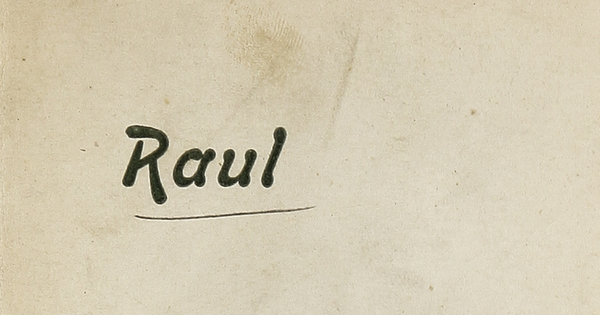 Raúl: poema preliminar sobre el arte nuevo