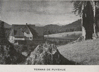 Termas de Puyehue