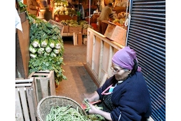 Pie de foto: Mujer preparando ensaladas en la Vega Central, 2005.