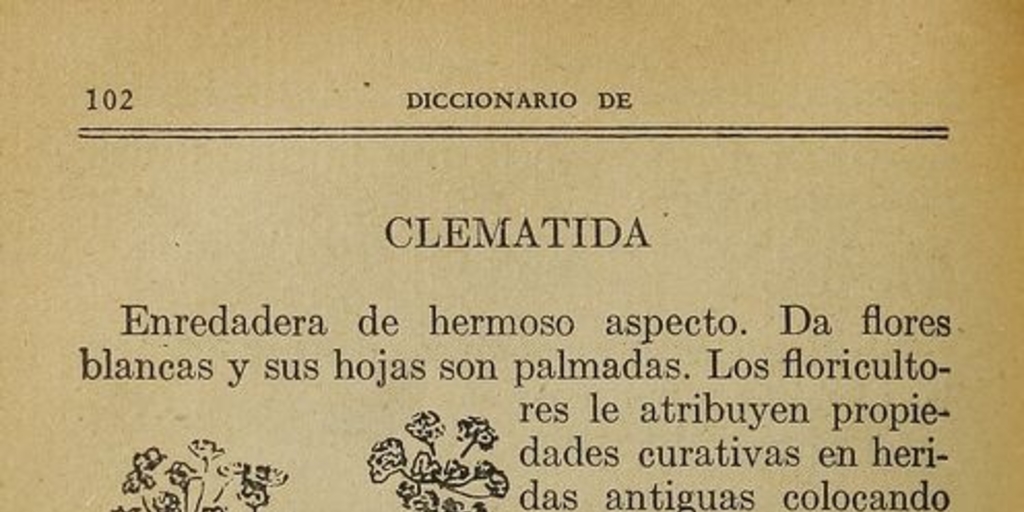 Pie de foto: Sobre la infusión de la raíz de Copihue, 1933. Urquieta Santander, Carlos. Diccionario de medicación herbaria: la botica en el jardín. Santiago: Nascimento, 1933