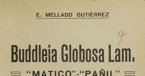 Buddleia globosa lam: "matico" - "Pañil". Santiago: [s.n.], (Santiago: Cisneros), 1923