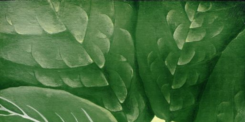 Pie de foto: Herbolaria: botiquín inagotable de la naturaleza, 1984.Datos: 1 cartel (afiche) : color ; 36 x 52 cm.Santiago: Dirección de Bibliotecas Archivos y Museos, 1984.