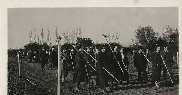 Pie de foto: Alumnos de curso agrícola en Rengo, hacia 1935