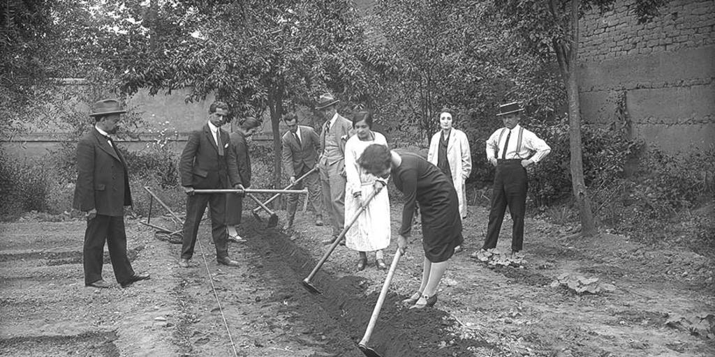 Pie de foto: Grupo de hombres y mujeres trabajando en un huerto en San Bernardo, 1925