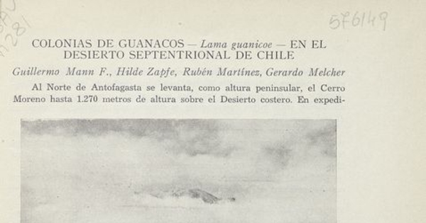 Colonias de guanacos en el desierto septentrional de Chile. [Santiago]: Centro de Investigaciones Zoológicas de la Universidad de Chile, [195-]. 3 p.