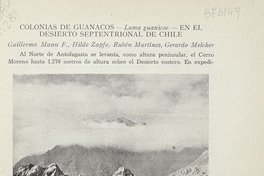 Colonias de guanacos en el desierto septentrional de Chile. [Santiago]: Centro de Investigaciones Zoológicas de la Universidad de Chile, [195-]. 3 p.