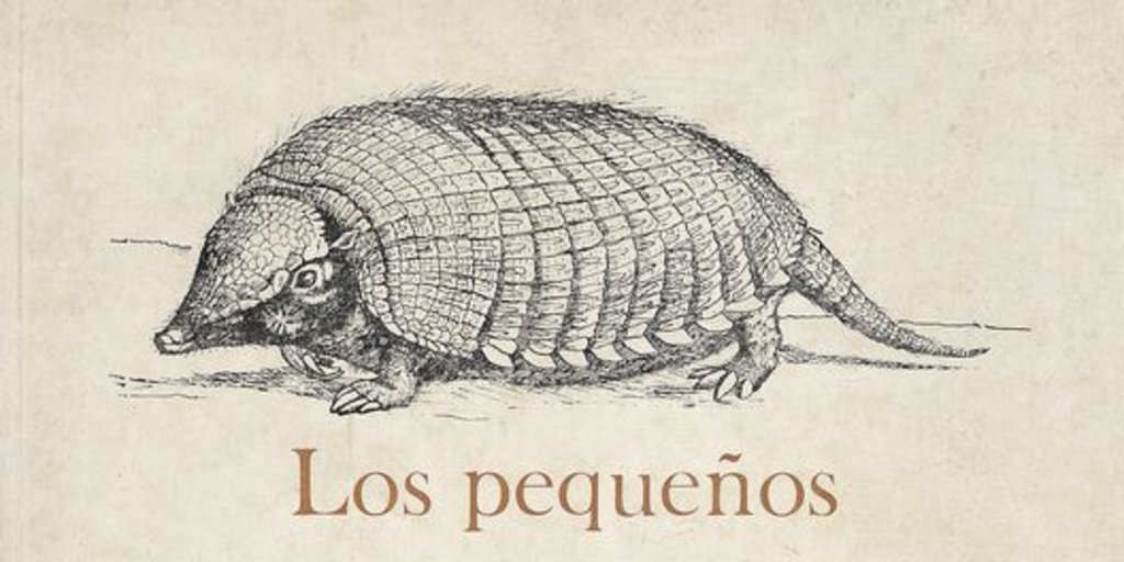Los pequeños mamíferos de Chile: (marsupiales, quirópteros, edentados y roedores). Concepción: Universidad de Concepción, 1978. 342 p.