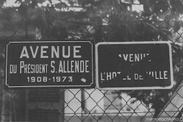 Avenue du President Salvador Allende, antigua avenida de L'Hotel de la Ville, en Villeneuve, Francia