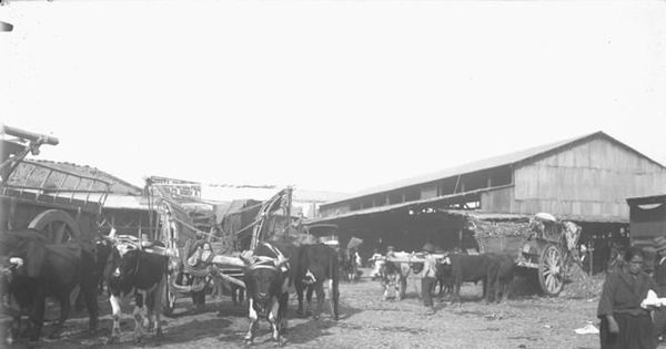 Vega Central, 1912