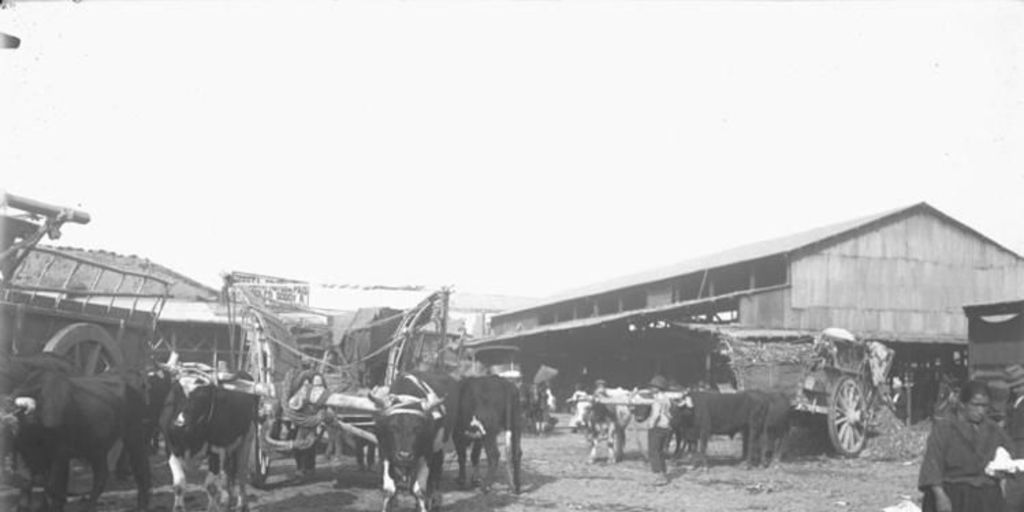 Vega Central, 1912