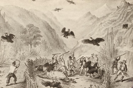 Caza de cóndores, ca. 1852