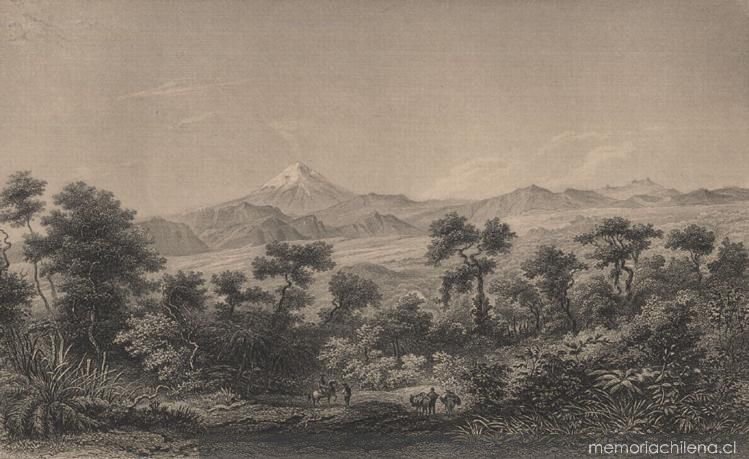 The region of oaks between Ialapa and Quautepec looking towards the Volcano of Orizava