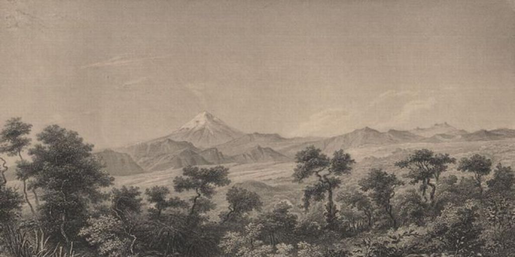 The region of oaks between Ialapa and Quautepec looking towards the Volcano of Orizava
