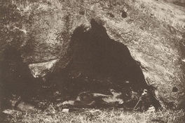 La cueva de Robinson Crusoe en Juan Fernández, ca. 1860
