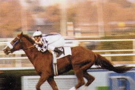 Gran Ducato, 1991