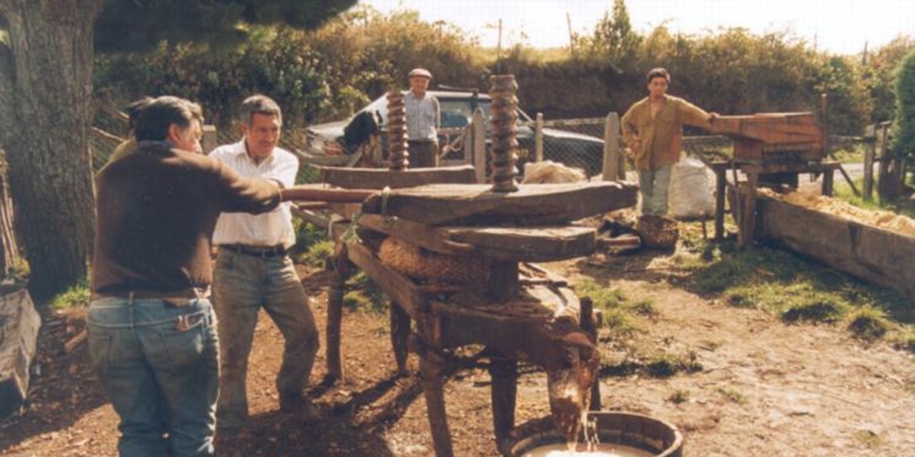 Chicha de manzana, con prensa de madera, Chiloé, 1997