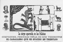 La Sierpe aparecida en Las Pallatas. Cómprenme preciosas niñas de ojos verdecitos. El caballero que se suicidó en Tebulco