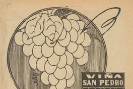 Aviso publicitario de Viña San Pedro, 1920