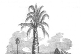 Horno de barro, zona central, 1822