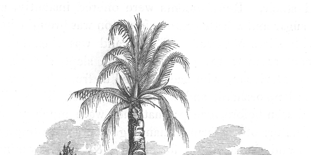Horno de barro, zona central, 1822