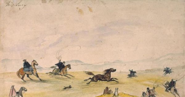 Domadura de caballos, 1849