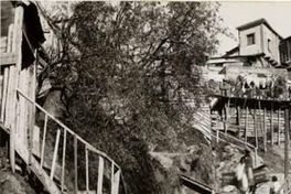 Cerro Bellavista, ca. 1900