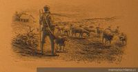 Rebaño de ovejas en Tierra del Fuego, hacia 1894