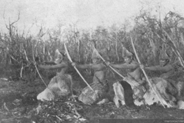 Selk'nam entrenando con arco y flecha, hacia 1920