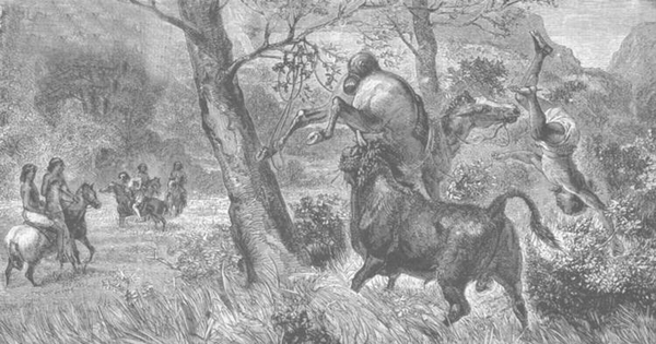 Toro salvaje en la cordillera, hacia 1870