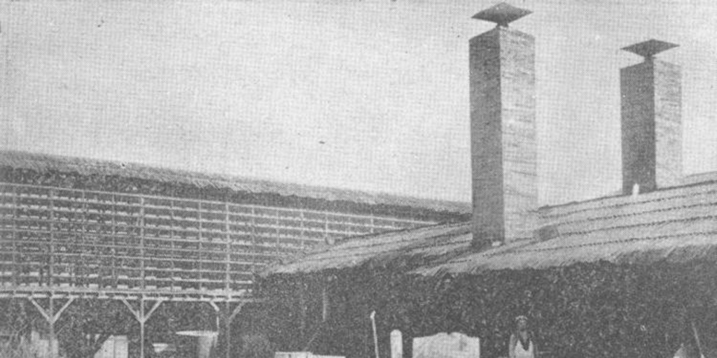 Secadores de fruta del Fundo Ongolmo, Buin, 1922