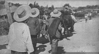 Campesinos conduciendo a un muerto en una carreta, Chillán, 1939