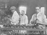 Fábrica de calzado Álvarez, Yarza y Cia, máquina de armar cortes, Talca, 1933
