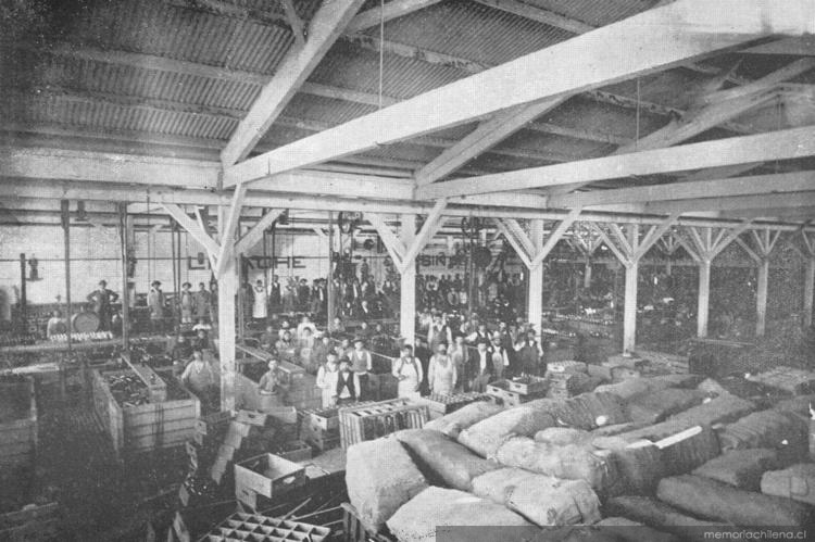 Taller de embotelladura y pasteurización de la Compañía Cervecerías Unidas, Santiago, 1902