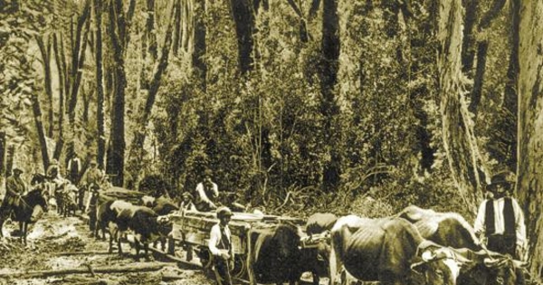 Construcción del ferrocarril entre Castro y Ancud